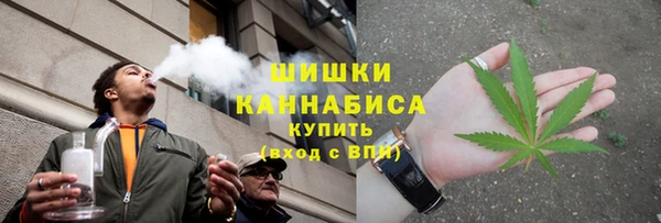 ПСИЛОЦИБИНОВЫЕ ГРИБЫ Арсеньев