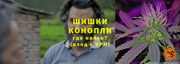 ПСИЛОЦИБИНОВЫЕ ГРИБЫ Арсеньев