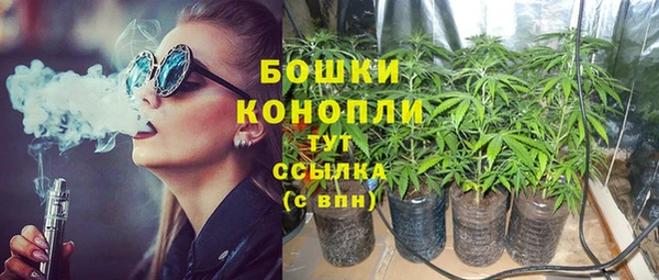 ПСИЛОЦИБИНОВЫЕ ГРИБЫ Арсеньев
