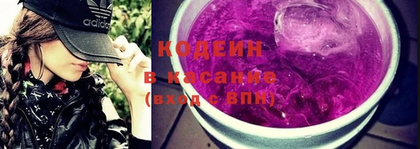 ПСИЛОЦИБИНОВЫЕ ГРИБЫ Арсеньев