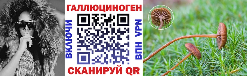 Галлюциногенные грибы Psilocybe  наркотики  Артёмовск 